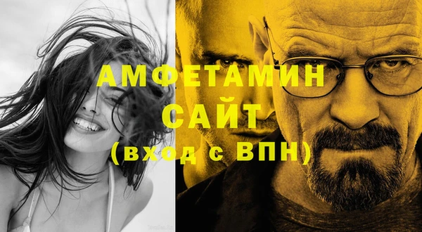 дмт Мегион