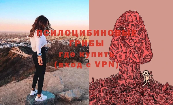 ешки Михайлов